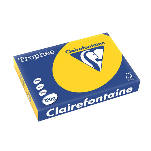 Clairefontaine Trophée Pastel A4, 120 g, 250 vel, goudgeel