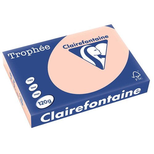 Clairefontaine+papier+zalm