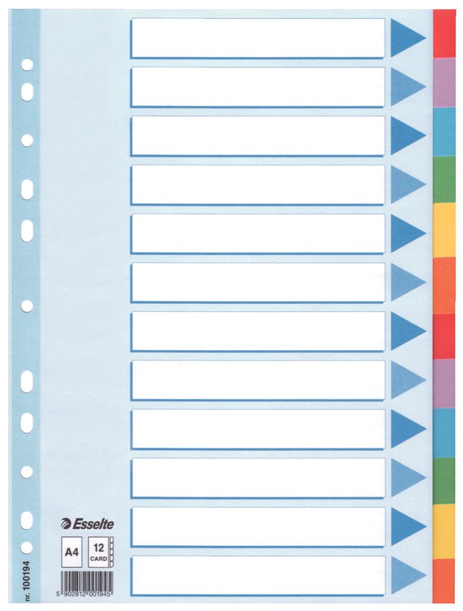 Esselte tabbladen 12 tabs