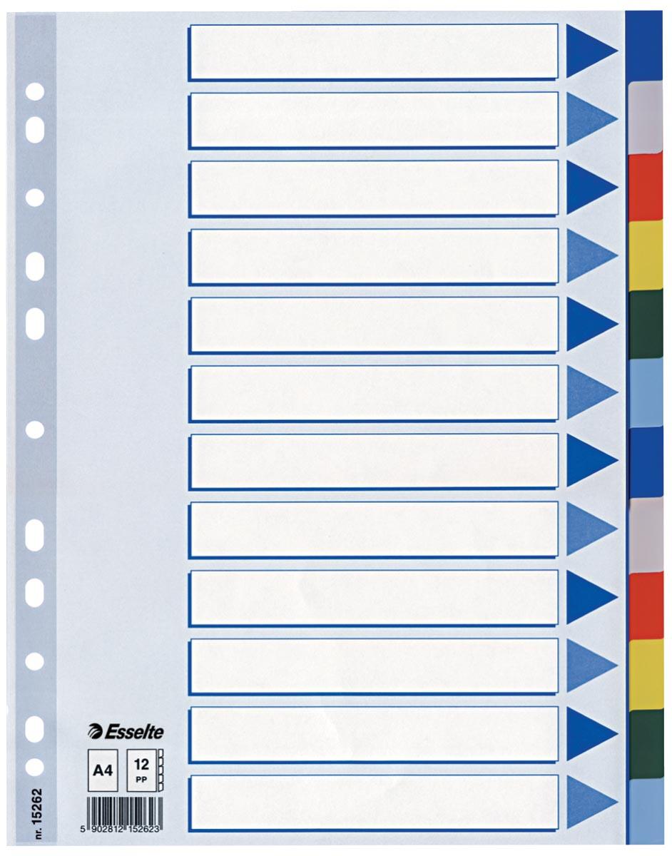 Esselte tabbladen 12 tabs