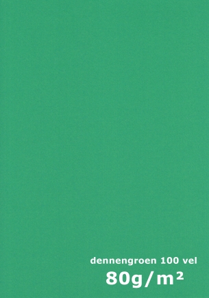 papier Dennen Groen A4 80gr - 100 vel