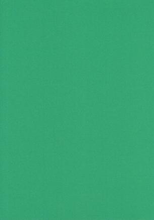 papier Dennen Groen A4 120gr - 50 vel