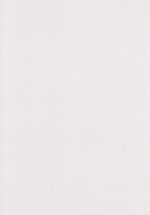 papier licht Grijs A4 120gr - 50 vel