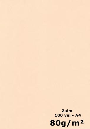 papier Zalm A4 120gr - 50 vel