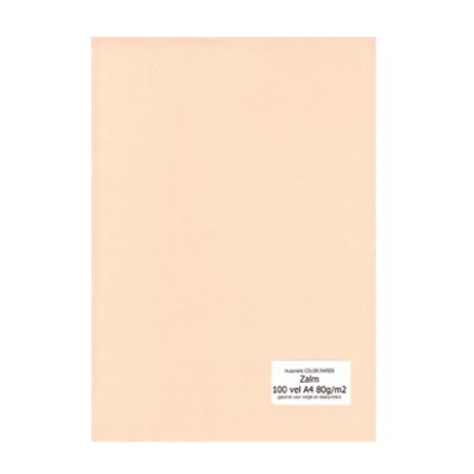 papier Zalm A4 80gr - 100 vel