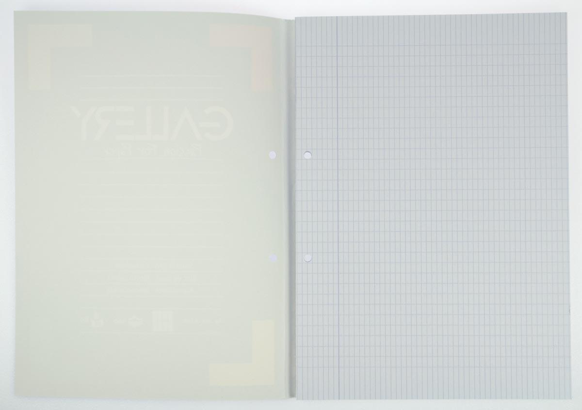 Gallery cursusblok, ft A4, 80 g/m², 2-gaatsperforatie, commercieel geruit, 100 vel