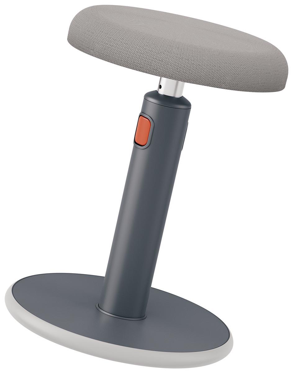 Leitz Ergo Cosy actieve Zit/Sta kruk, grijs