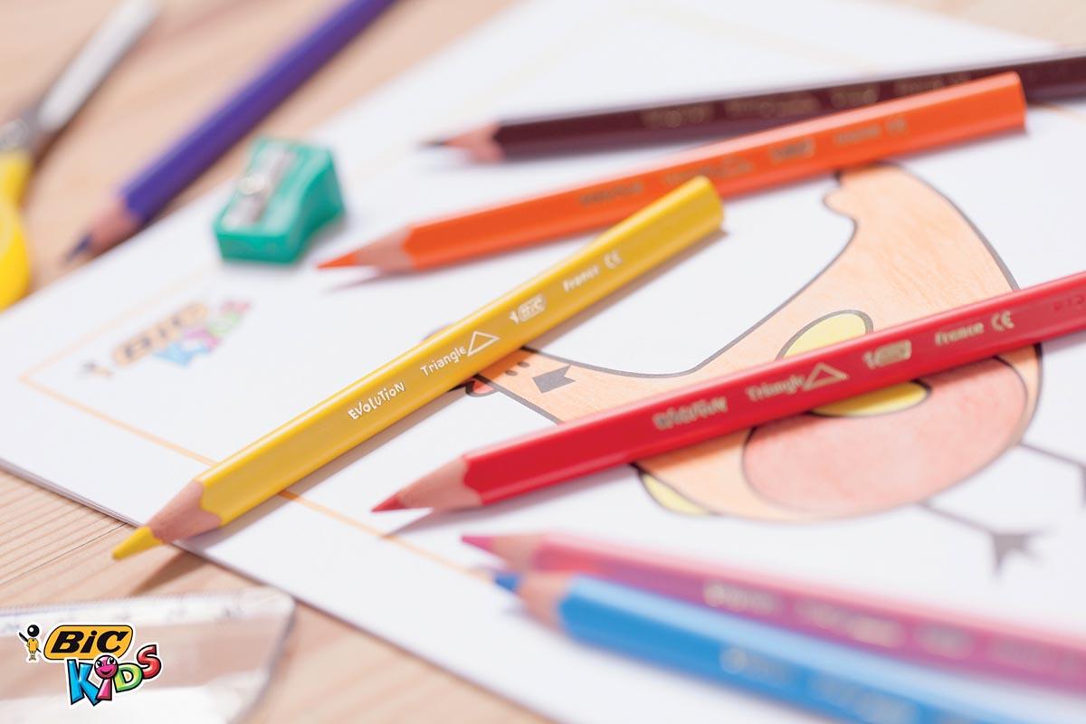 Bic kleurpotlood Ecolutions Evolution Triangle 12 potloden in een kartonnen etui