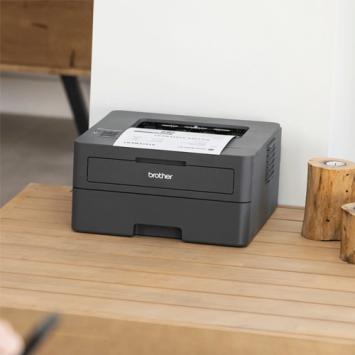 Brother HL-L2400DW